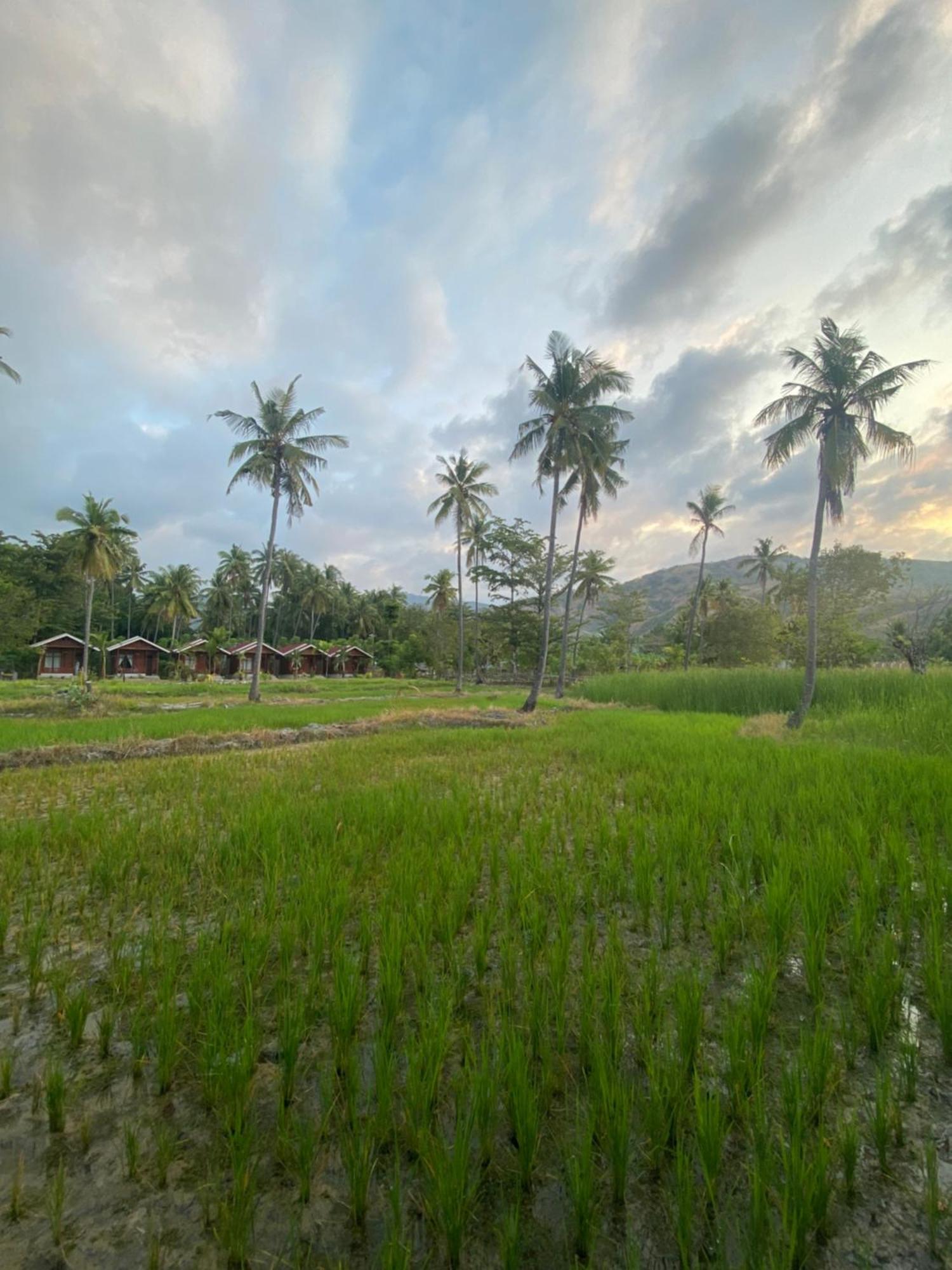 Nuna Bungalows Riung Exterior foto